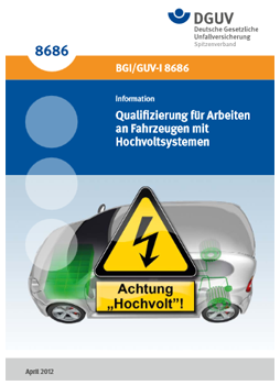 BGI/GUV-I